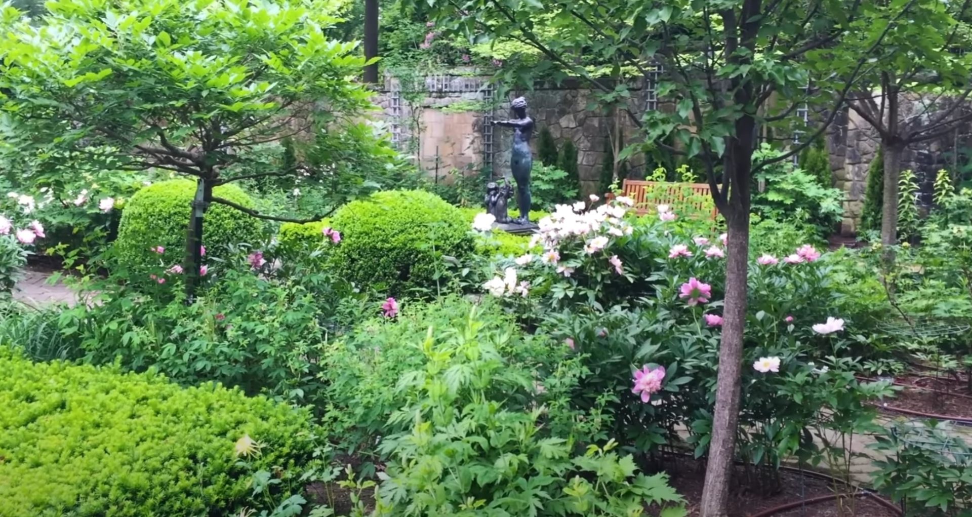 Garden Design - Natural Stone Features with Flowering Plant Installation Lush garden landscape with flowering plants, mature trees, and natural stone features